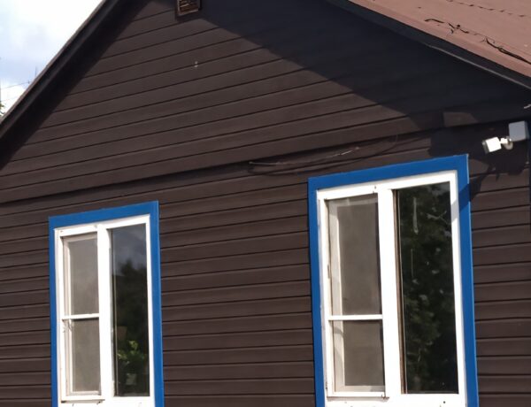 Покраска вагонки: полное руководство для новичков и профессионалов