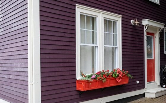 Резиновая краска: что это, зачем она нужна и где применяется