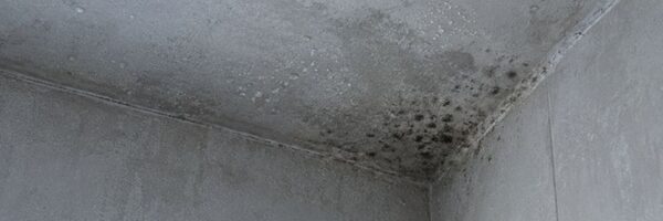Конденсат и следы сырости на потолке во влажном помещении